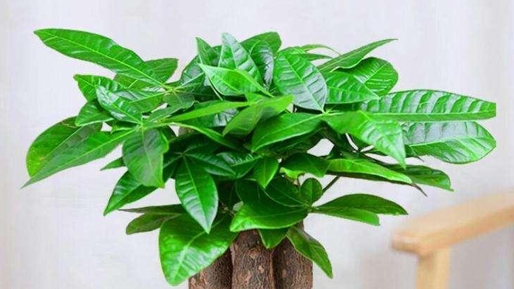 現(xiàn)代辦公室裝修，需要滿足哪些點？